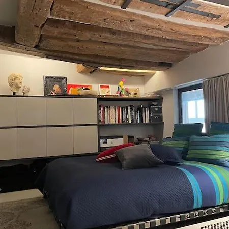 Apartmán Golden Braque: Luxury Meet History